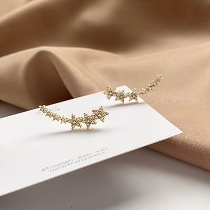 Boucles D Oreilles, Argent Or Rose Collection Édition Limitée Pour Tous Les Styles